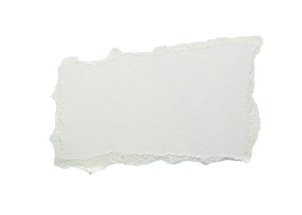 piece of white paper tear isolated on white background