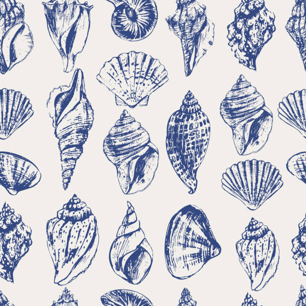 seamless pattern, pattern, wallpaper, texture, tile, digital paper Vector sea animals seamless pattern. Sea shells in blue on white. Sea life background. seashell stock illustrations