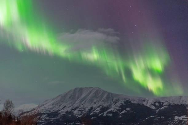 istock Aurora Borealis northern lights seen in northern Canada, Yukon Territory 2168480973