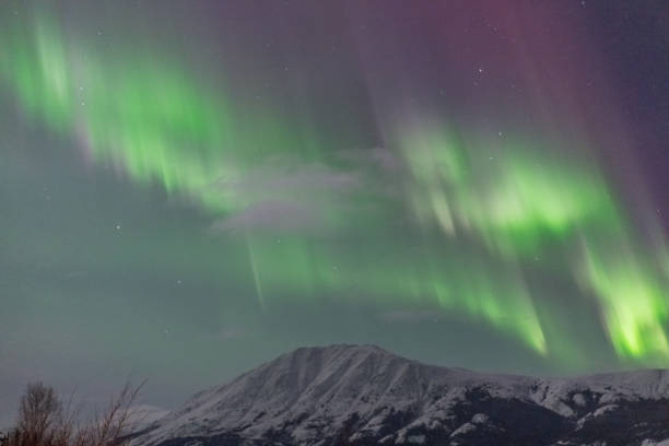 istock Aurora Borealis northern lights seen in northern Canada, Yukon Territory 2168480974