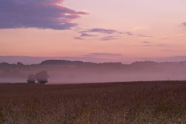 A photo of a vibrant country field in harvest at sunset