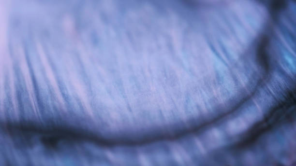 istock Glitter wave paint water flow purple blue texture 2168481223