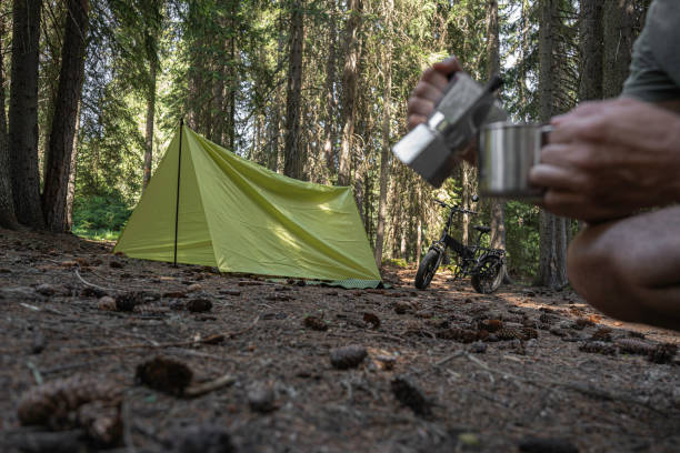 Tourist tent in the woods