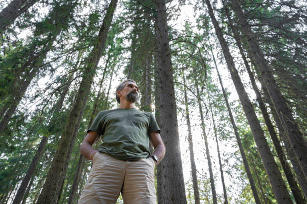 Low angle view of mature man on adventure in nature. He is thoughtfully looking up in pine forest. Sustainable lifestyle.
