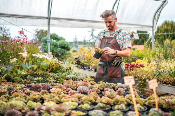 istock Caucasian Male Gardener Caring for Potted Plants 2168482411