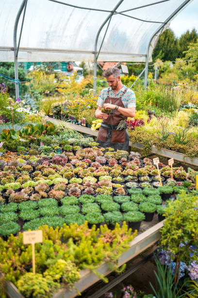 istock Caucasian Gardener Working on Greenery Maintenance 2168482414