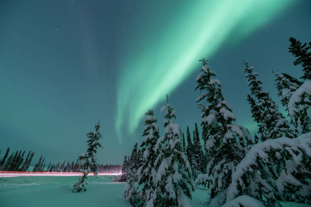 istock Stunning aurora borealis seen in Yukon Territory during winter time with unreal green northern lights bands above the boreal forest. 2168484579