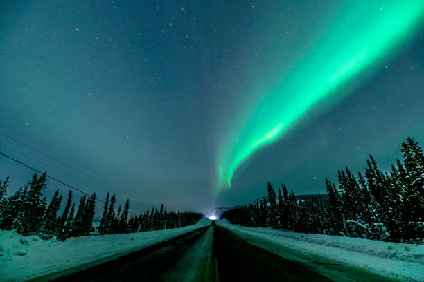An incredible winter view of the northern lights, aurora borealis seen in northern Canada with snow covered trees and bright green sky, snowy landscape below.