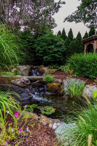 istock Koi pond surronded by rocks and native flowers for backyard landscape design 2168485683