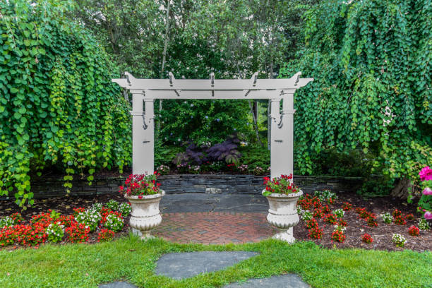 istock White pergola creates stunning accent for backyard landscape design 2168487225