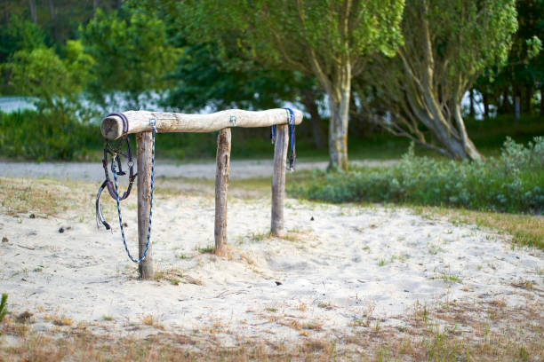 istock Tethering place (Anbindeplatz) with bridle for horses. Device for securing animals. Construction of wood on sand in the forest. 2168496077