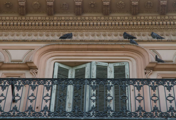 istock IMG_4782 Pigeons roosting in elegant places 2168497667