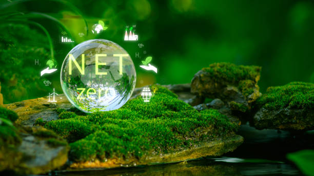 istock World environment day. Glass globe with Net Zero text surrounded by environmental icons, symbolizing carbon neutrality and sustainability in circular economy lush green setting 2168498462