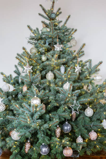 istock Christmas tree with decorations in white and silver tones with shining garlands full length on white wall background.Fluffy Blue spruce 2168499883