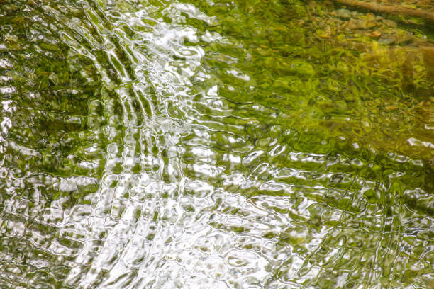 Circles on the surface of water in nature. Abstract background.
