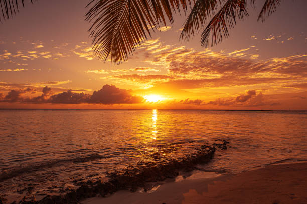 istock Tropical paradise beach and dramatic sky during the sunrise 2168504362
