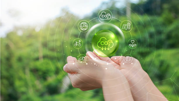 istock Hand holding with tree for co2, ESG and net zero. energy saving concept. save our planet, world environment day, world earth day. sustainable development and green business. 2168511597