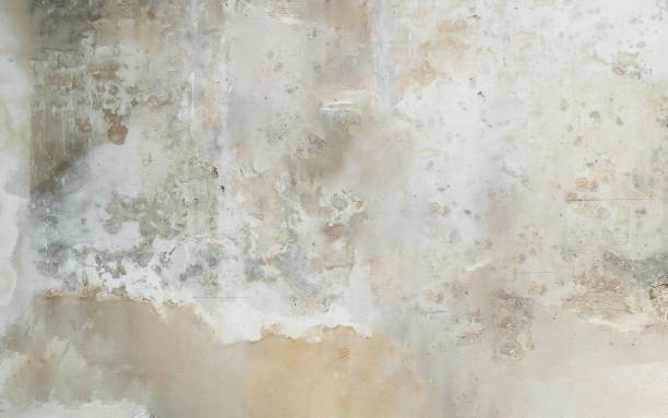 istock Gray concrete texture background. Stone cement wall background. Old wall background. 2168512014