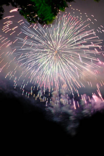 istock Beautiful fireworks in full bloom 2168513752