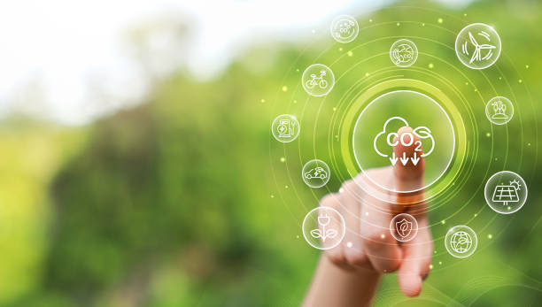 istock Businessman hand point with tree for co2, ESG and net zero. energy saving concept. save our planet, world environment day, world earth day. sustainable development and green business. 2168514169