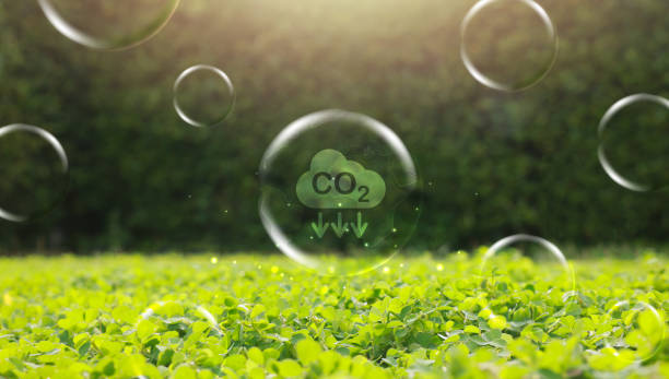 istock Reduce CO2 or carbon concept in bubbles. CO2 emission using clean energy and limit global warming. save our planet, world environment day, world earth day. sustainable development and green business. 2168514568