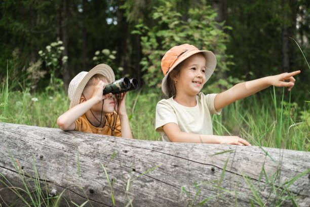 Small children are exploring the forest, looking through binoculars from the shelter.