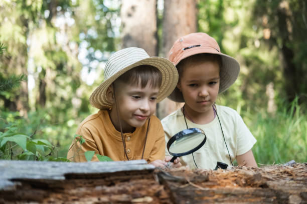 istock Small children study the forest, look through a magnifying glass. 2168514700