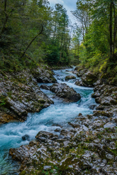 istock Vintgar Gorge, Slovenia 2168515281