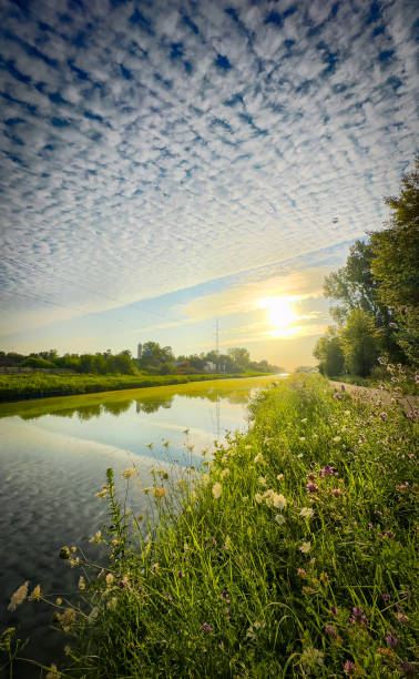 istock A Serene Sunrise Gracing the Tranquil River, Surrounded by Beautiful Lush Greenery 2168518156
