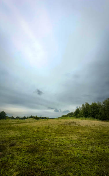 istock A Serene and Beautiful Open Field Stretching Under a Cloudy Sky with Soft Light and Calmness 2168518167