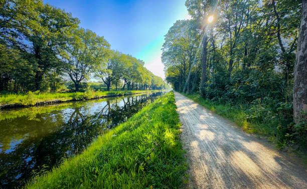 istock A Serene Pathway That Winds Along a Tranquil Waterway, Beautifully Surrounded by Lush Trees 2168518225