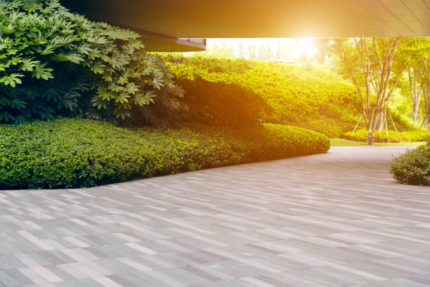 istock Green city street 2168519369