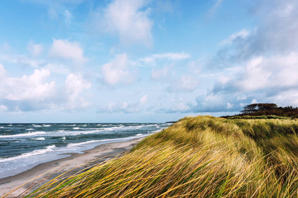 Beautiful view of the Baltic Sea beach in Germany, featuring waves, sandy dunes, and a vibrant sky. Perfect for nature and travel themes.