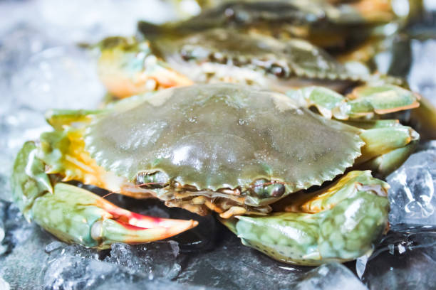 istock closeup of raw crab with ice cubes 2168522027