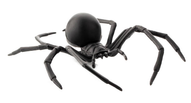istock Fake rubber spider toy isolated over a white background 2168524653