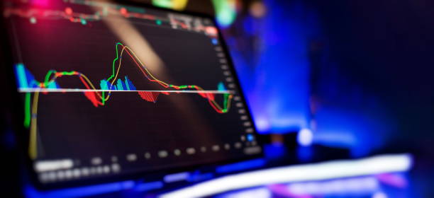 istock Technical analysis on the monitor of a computer. Fundamental and technical analysis concept. 2168525867