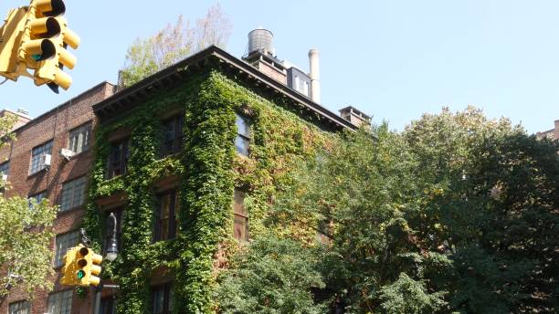 New York City building architecture. Residential house exterior. Real estate in USA. Brick facade. New York City classic building corner architecture. Urban residential house exterior. Real estate property in USA. Typical brick facade, Irving Pl, Manhattan Midtown. Rooftop water tower. Green wall. grapevine texas city stock pictures, royalty-free photos & images