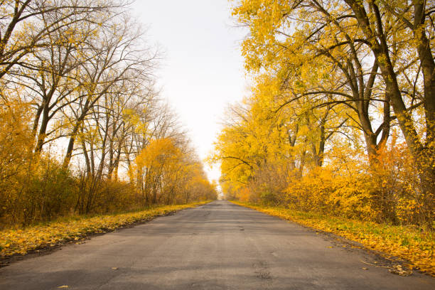 Beautiful, bright, autumn landscape along an empty country road