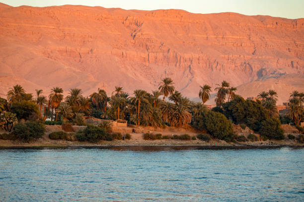 istock Nile River Oasis: Where Desert Meets Fertility 2168538274
