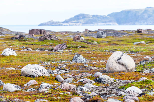 Summer tundra landscape in Murmansk region, Russia