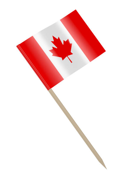 istock Canadian flag toothpick 2168546646