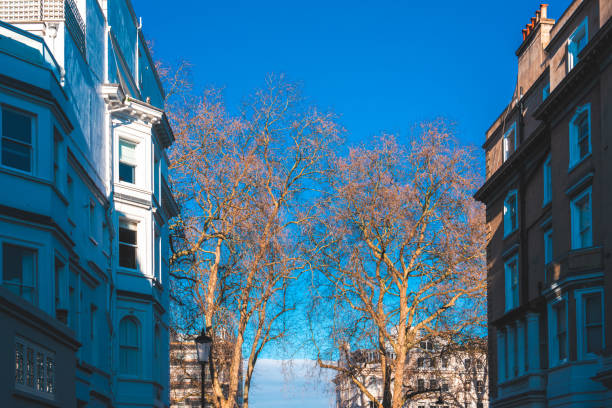 British style building, South Kensington, London