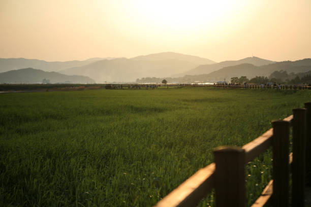 tranquil landscape