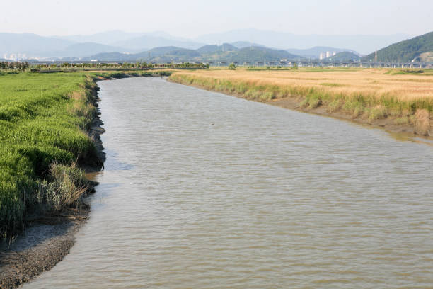istock View of the waterway at Suncheon Bay 2168553650