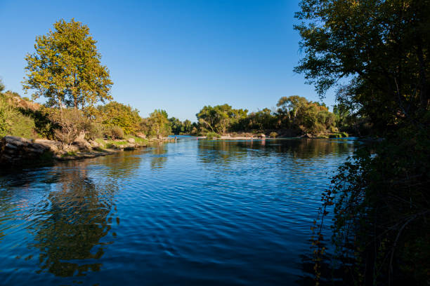 beautiful river in the nature