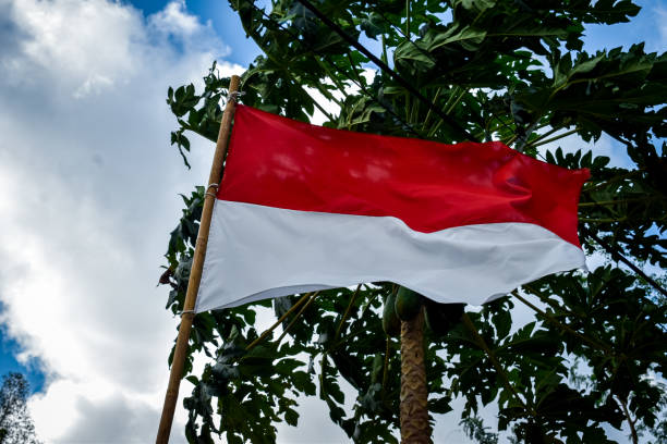 istock The Indonesian flag is flying 2168567794