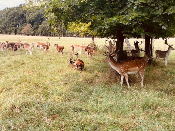 istock Such a scenic view of plants and animals 2168573511