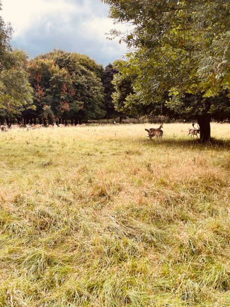 istock Landscape scenery view of natural beauty 2168573743