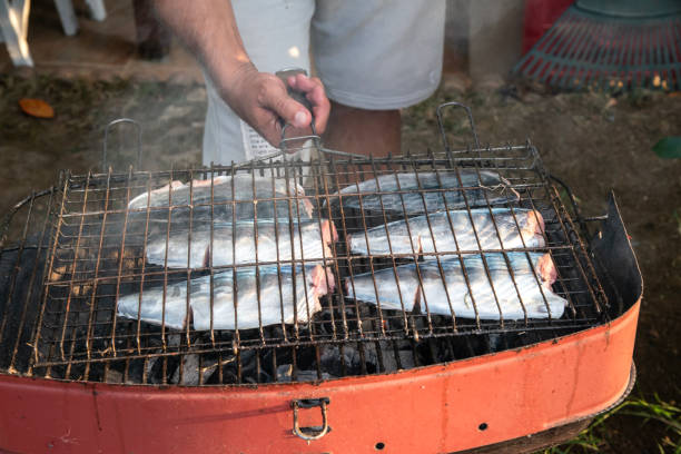 Close up of fish being grilled