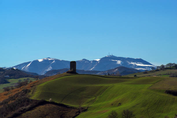 istock field against a snow-capped mountain peak 2168586337